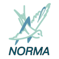 Norma