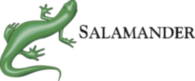 Salamander