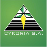 Cykoria