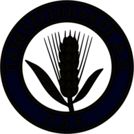 Panelefsiniakos Elefsina