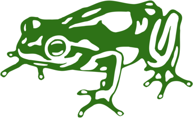 Frog Design