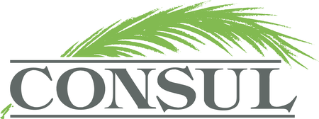 Consul