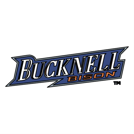 Bucknell Bison 76010