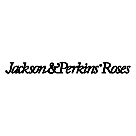 Jackson & Perkins Roses