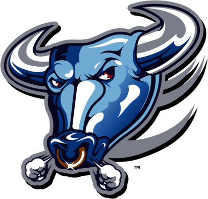 Buffalo Bulls 76016