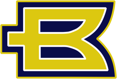 Birmingham Bolts 42971