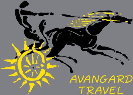 Avangard Travel 15113