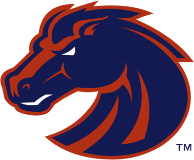 Boise State Broncos 76002