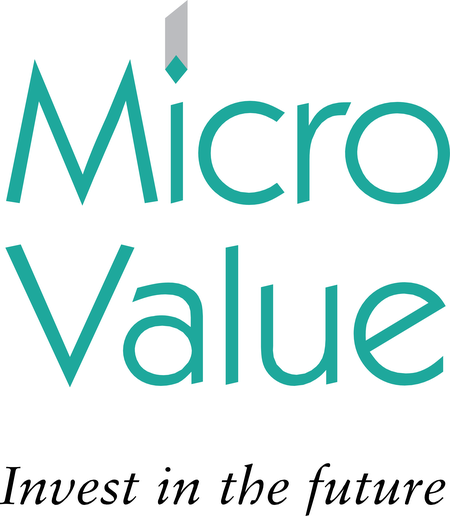 Micro Value