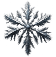 Feathered Snowflake