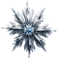Star-shaped Snowflake