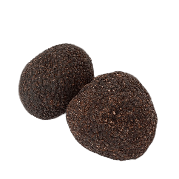 Duo Of Black Winter Truffles