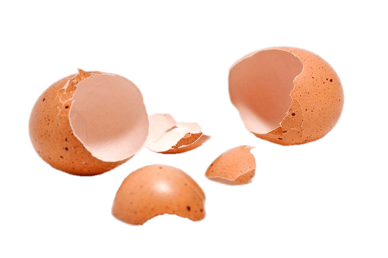 Two Cracked Eggshells