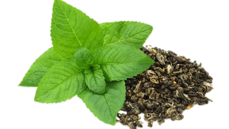 Fresh and Dried Peppermint