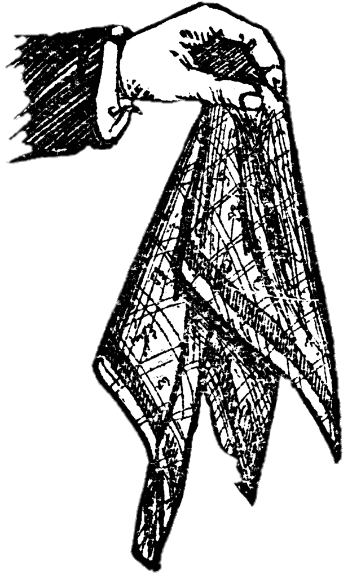 Hand Holding Handkerchief Vintage Image