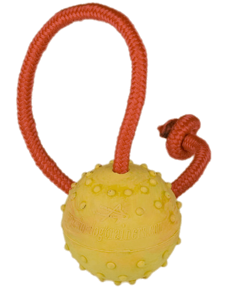 Dog Training Ball