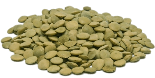 Green Lentils