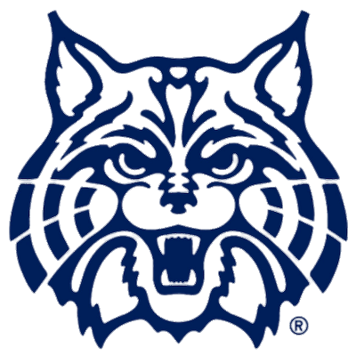Arizona Wildcats decal