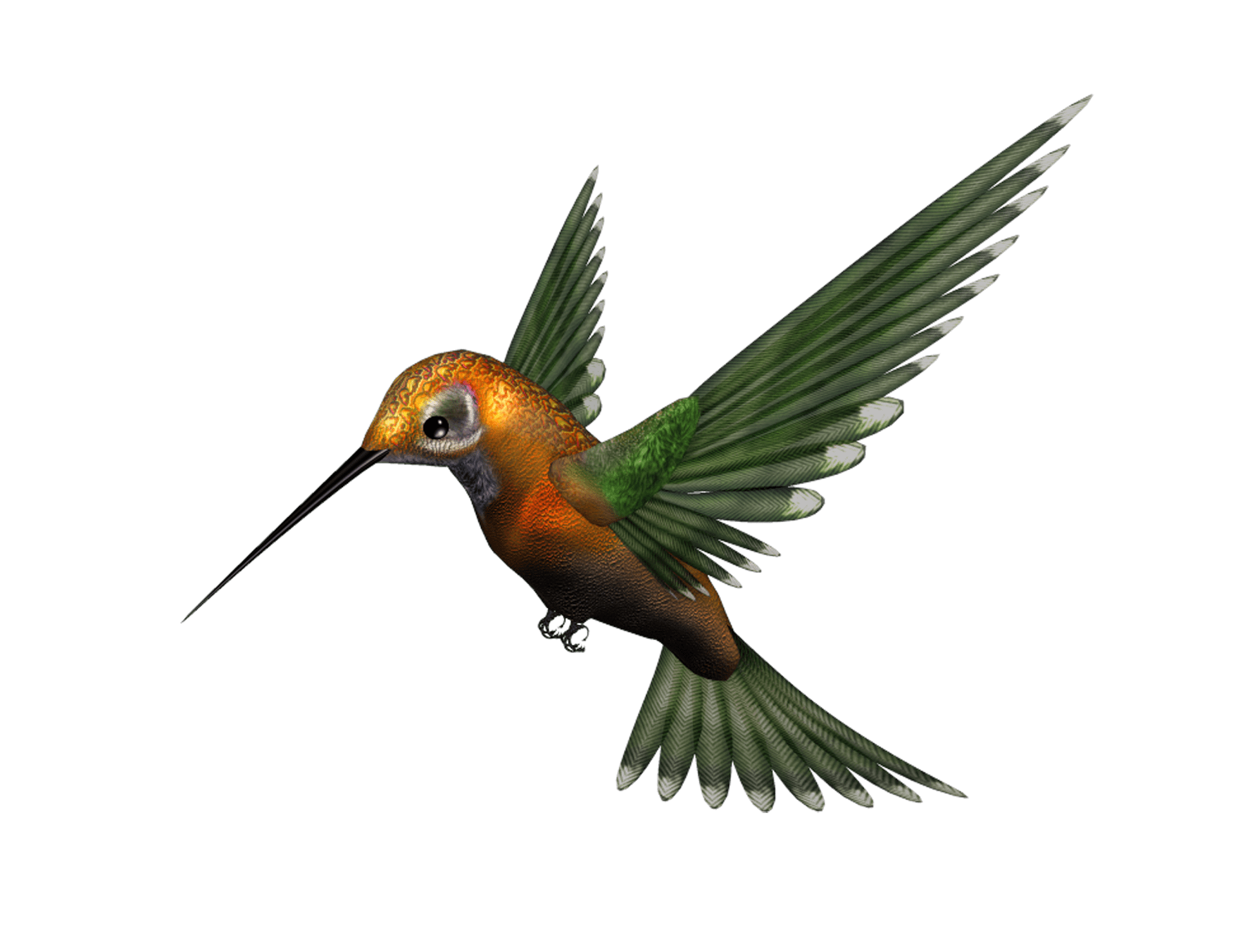 Vintage Hummingbird Illustration