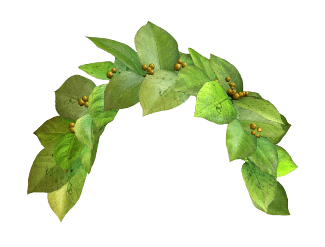 Snapchat Filter Green Crown