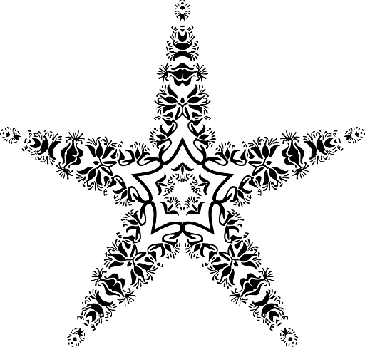 Decorative Star with Floral Decoration