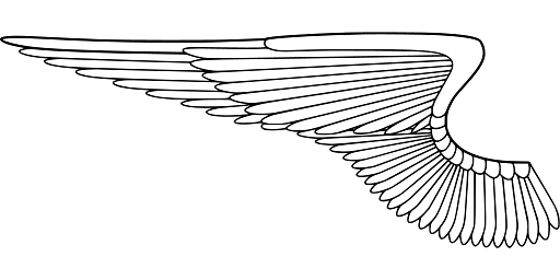 Single Wing Pointing Left