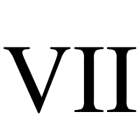 Roman Numeral 7