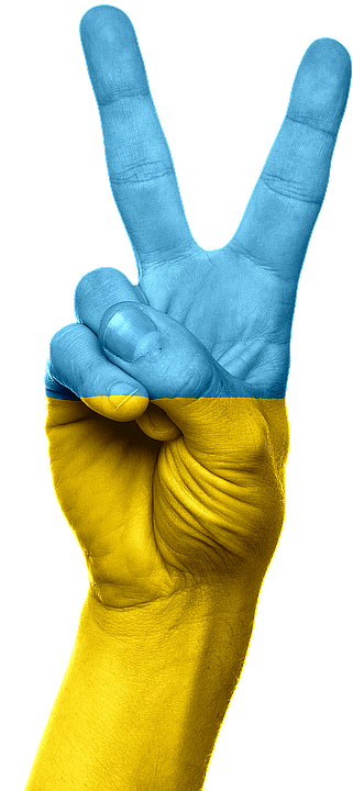 Peace In Ukraine Flag