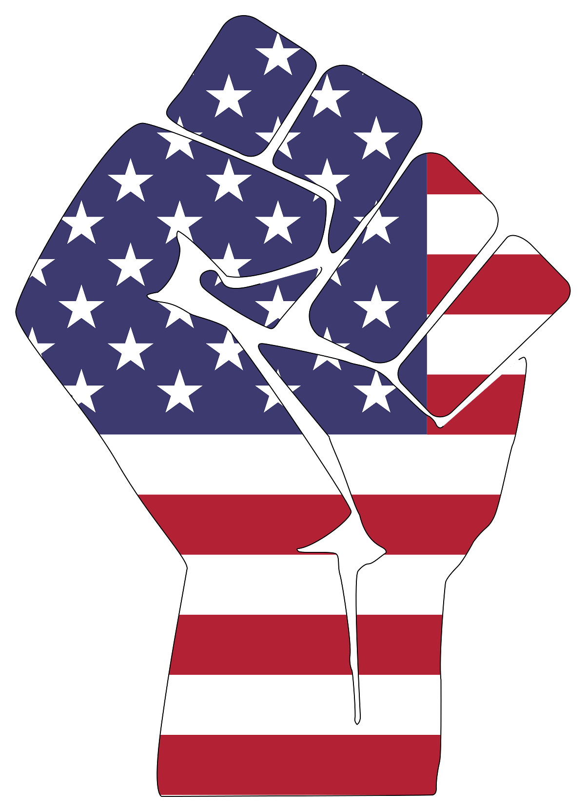 American Fist USA