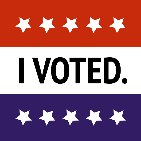 I Voted Sign USA