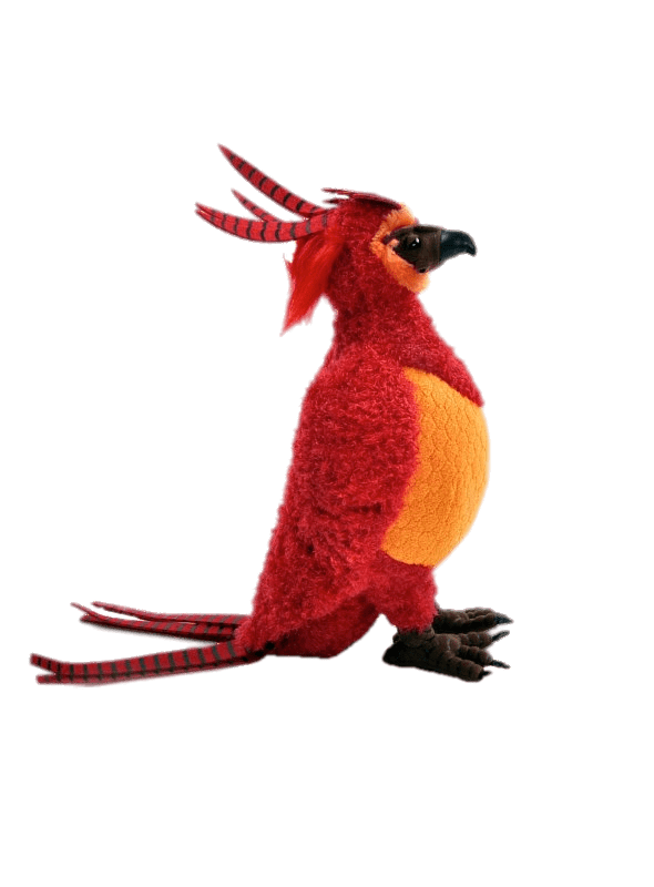 Fawkes the Phoenix Harry Potter