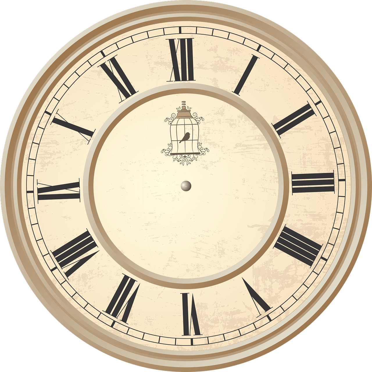 Clock Roman Numerals Birdcage