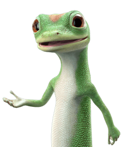 Geico Ghecko Character Explaining