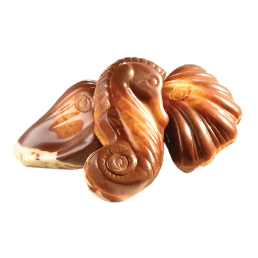 Guylian Chocolate Seashells