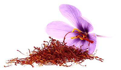 Saffron Flower Side View