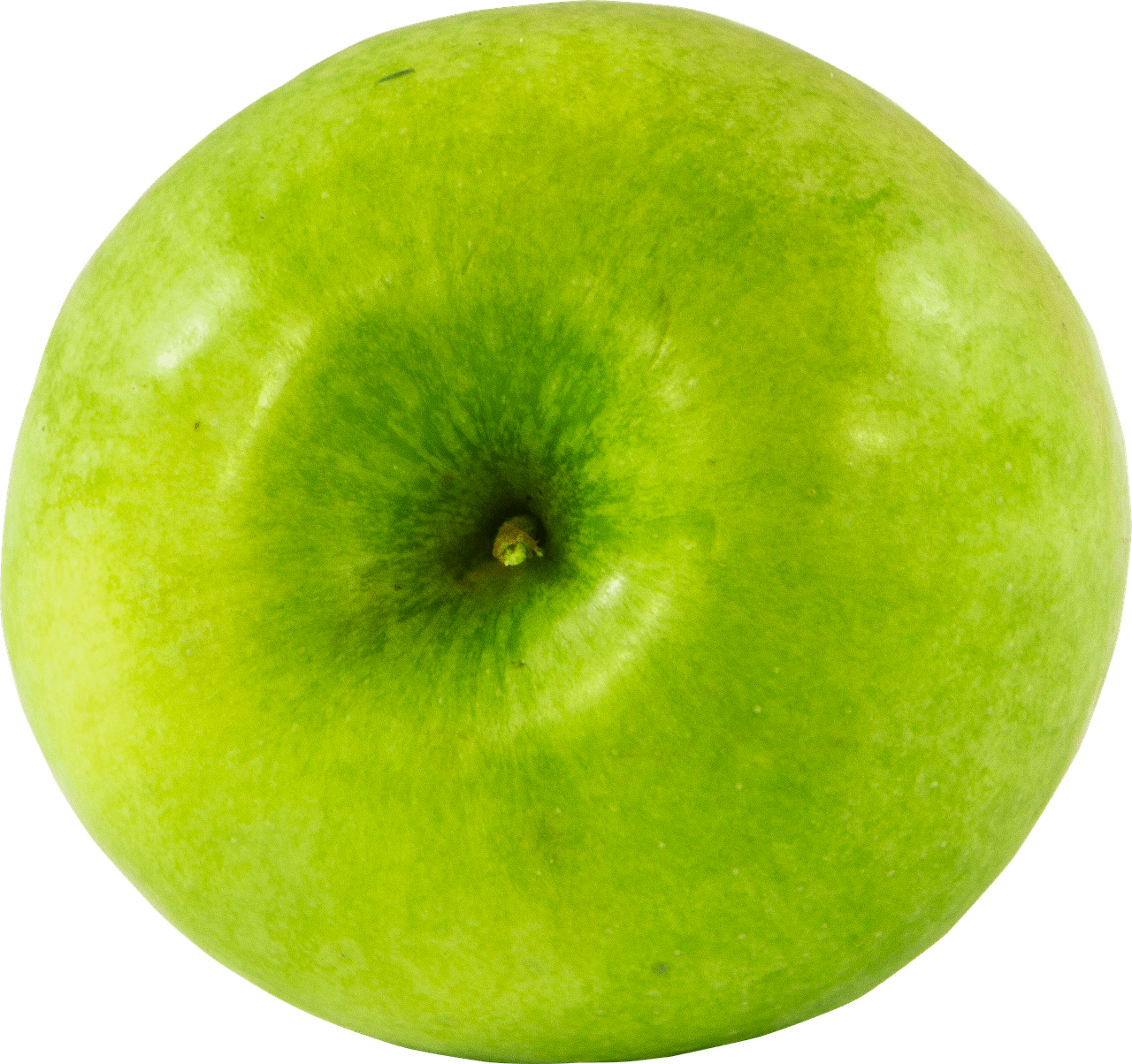 Stem Granny Smith Apple