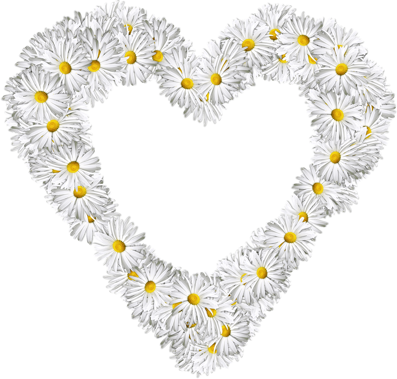 Heart Made Of Marguerites