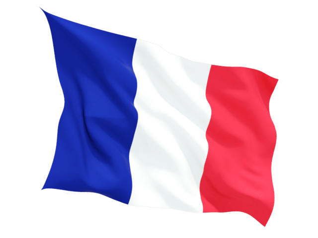 Wave France Flag