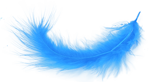Blue Feather