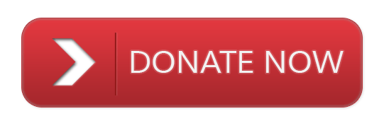 Donate Now Red Button