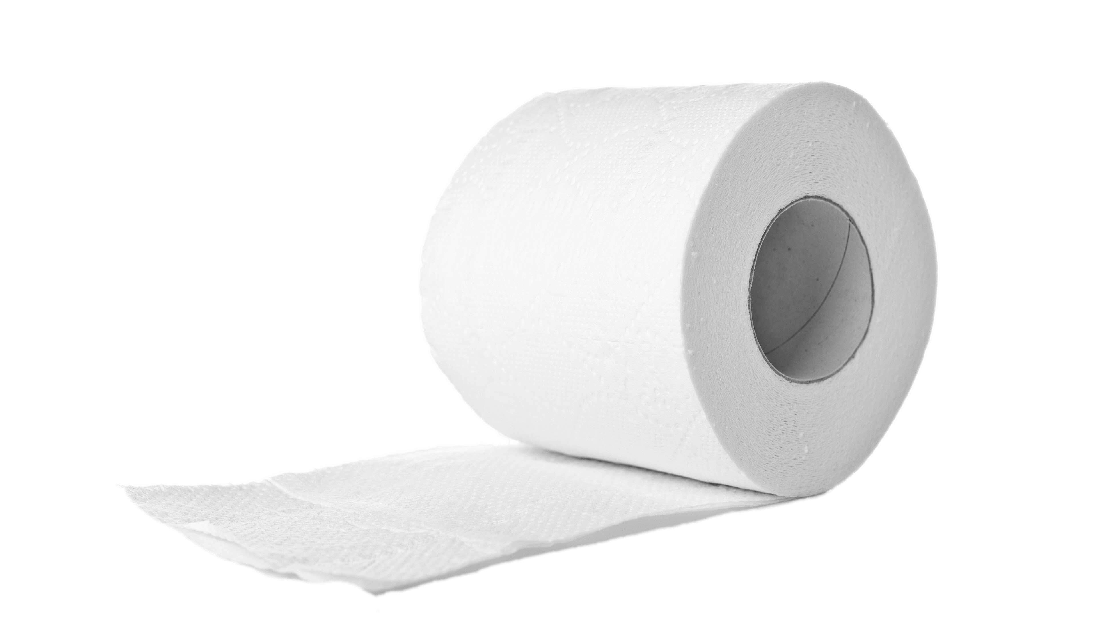 Toilet Paper Roll