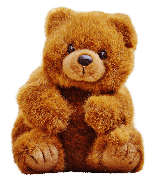 Cute Teddy Bear