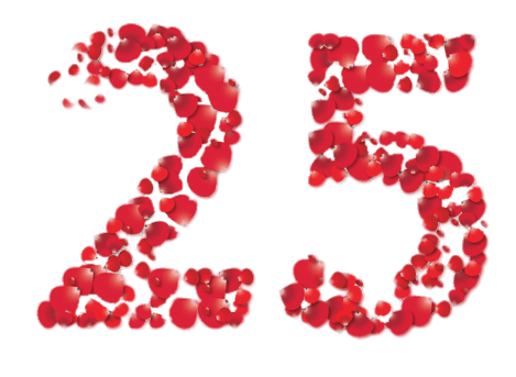 25th Anniversary Rose Petals