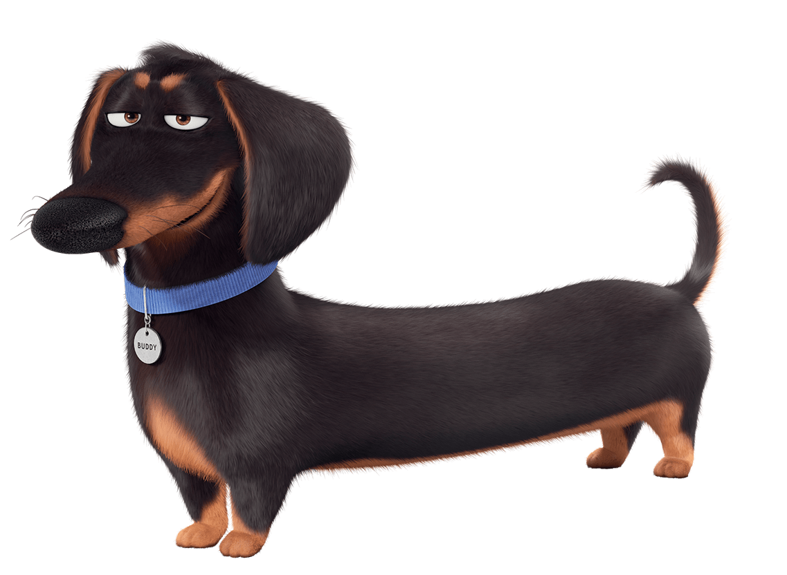 The Secret Life Of Pets Buddy
