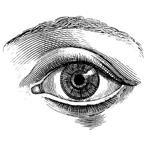 Single Eye Vintage Drawing