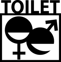 Male and Female Toilets Modern Icons