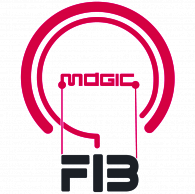 magicFIB