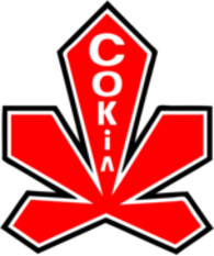 Sokil Kyiv Hockey Club