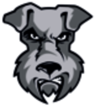 St. Francis Terriers