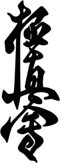 Kyokushin Karate